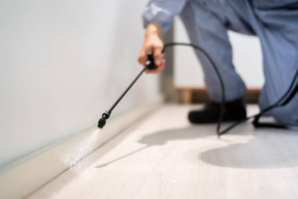 Professional exterminator conducting IPM assessment in Averill Park