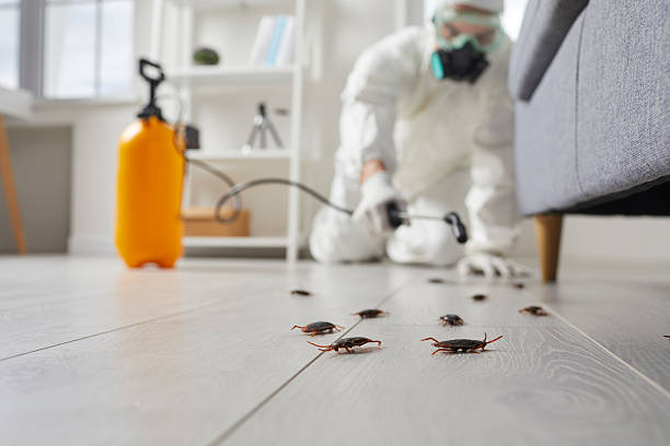 Commercial Kitchen Cockroach Control in Averill Park